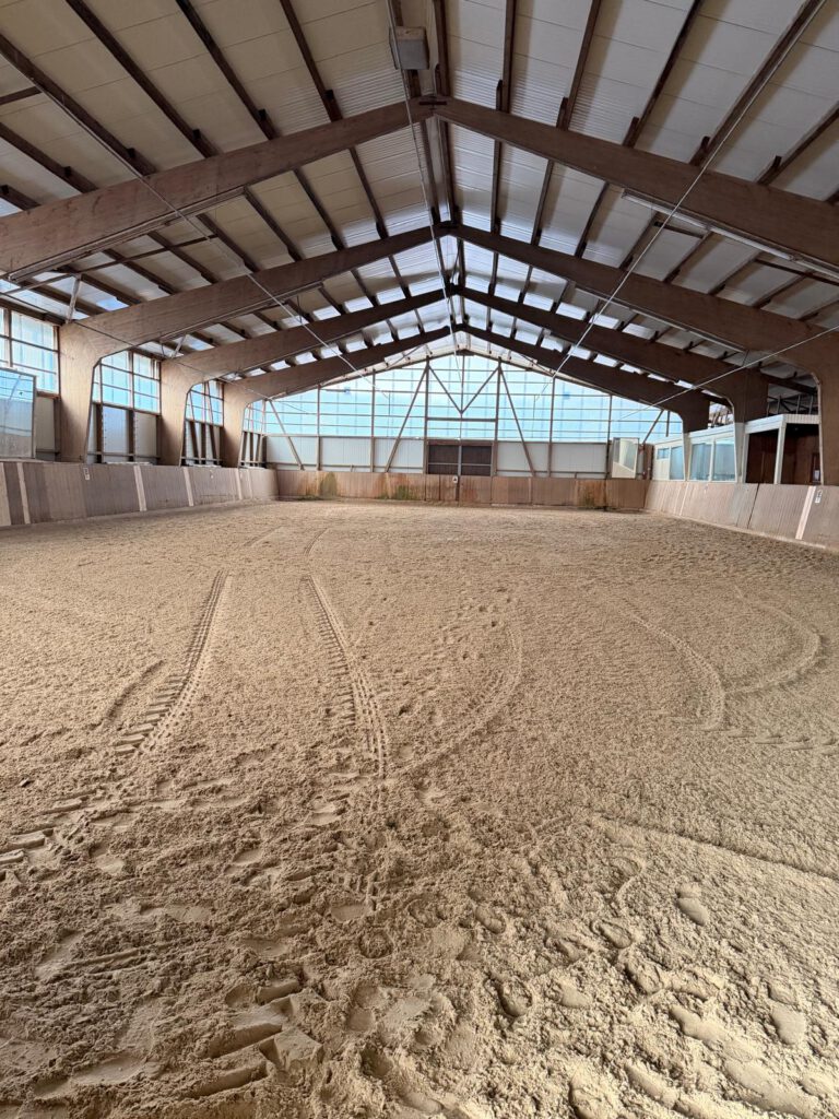 whatsapp image 2026 02 24 at 16.29.11